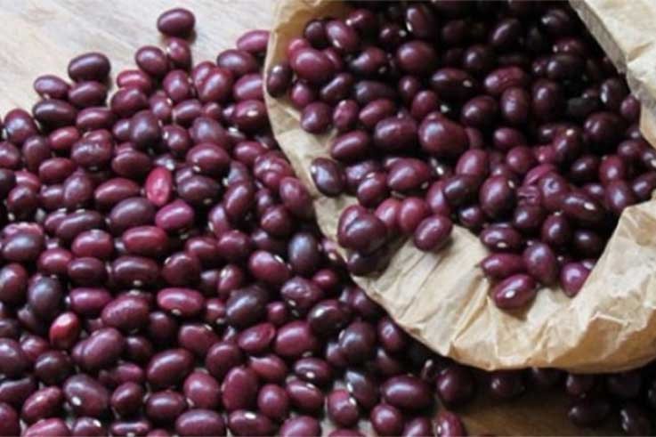 La nueva cosecha de la DOP Alubia de Anguiano, ya en el mercado