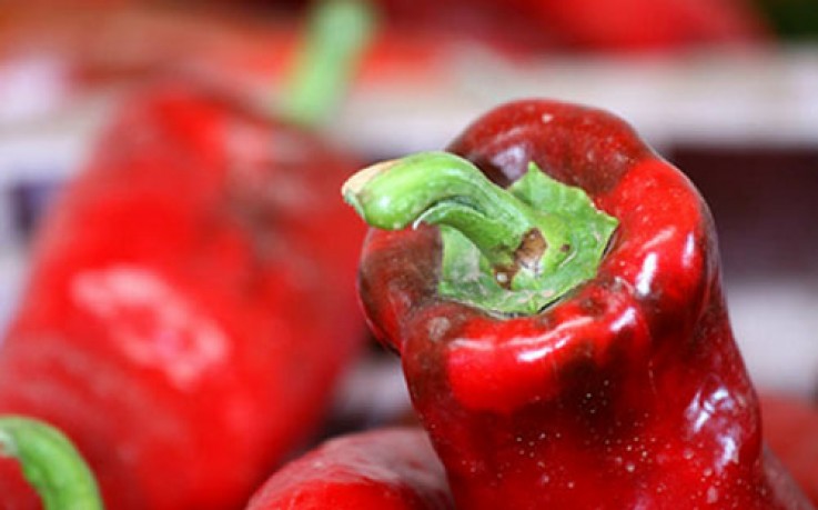 Nájera acoge este domingo la sexta edición del Festival del Pimiento Riojano