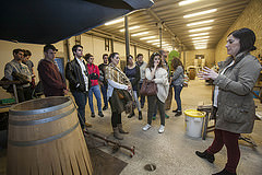 Alumnos del Basque Culinary Center visitan las bodegas López de Heredia, Roda, La Rioja Alta, Gómez Cruzado, Bodegas Bilbaínas y Cvne, en Haro (La Rioja)