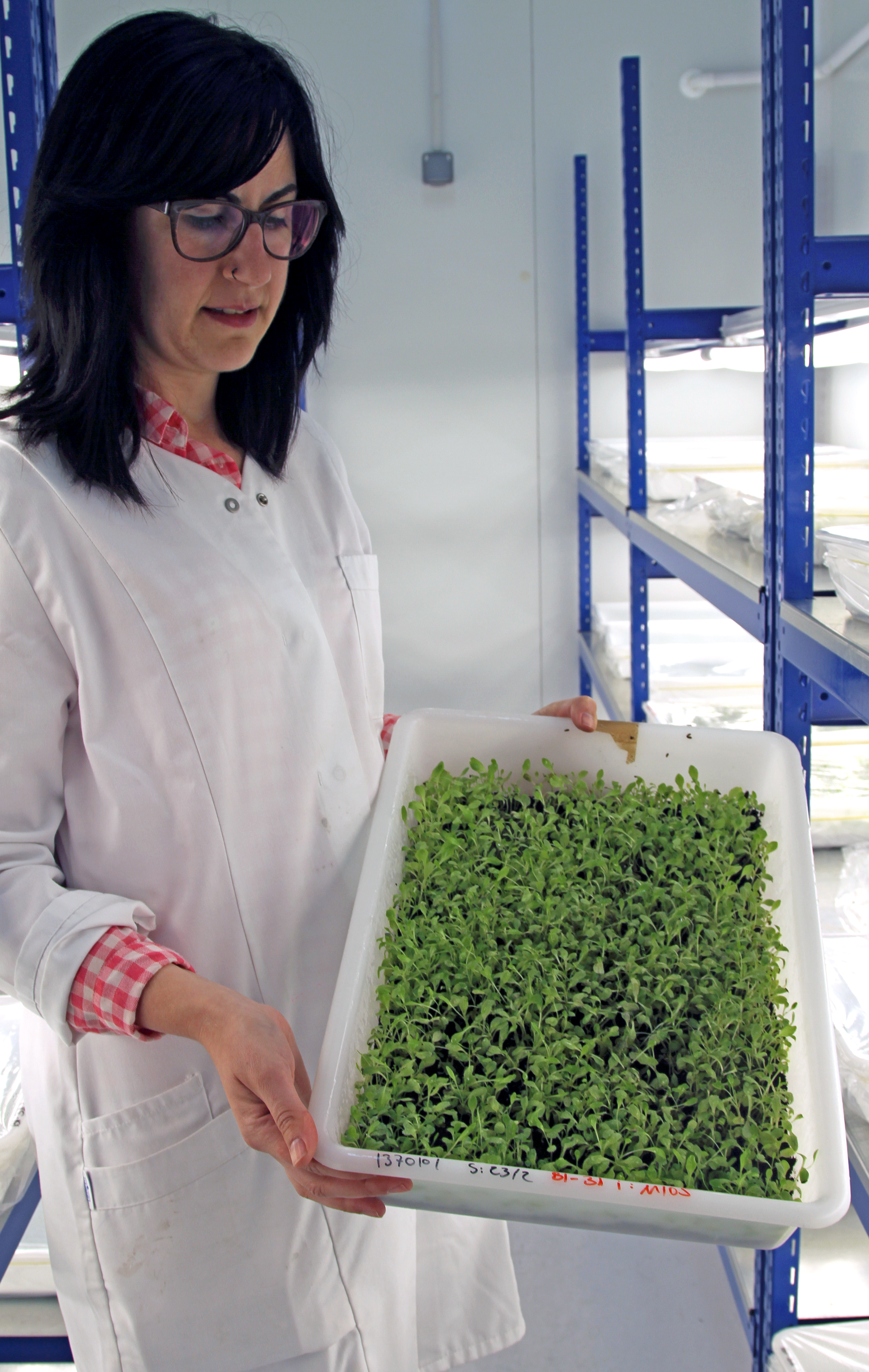 Laboratorio de patolog&iacute;as de Ramiro Arnedo en Calahorra
